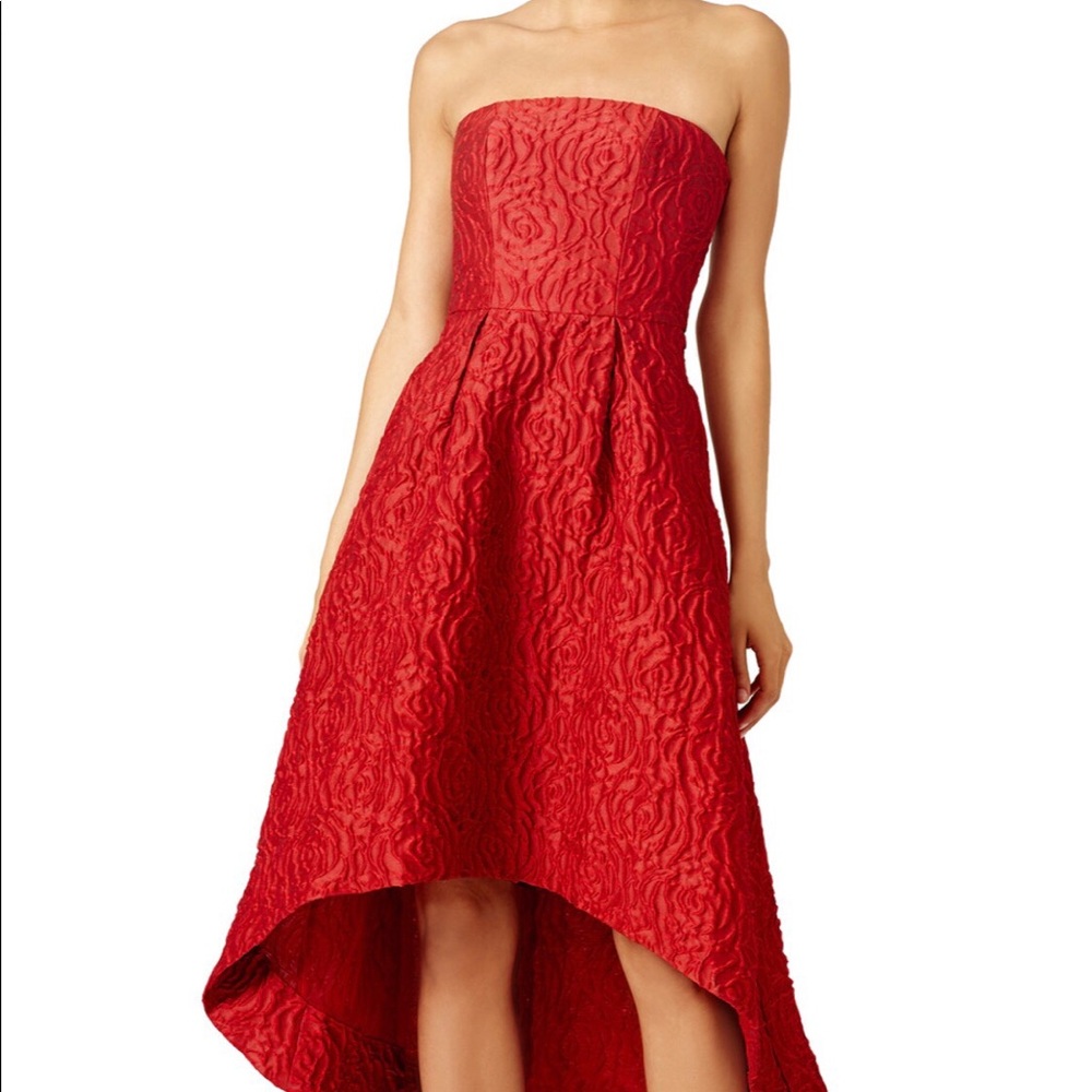 Beautiful Monique Lhuillier dress